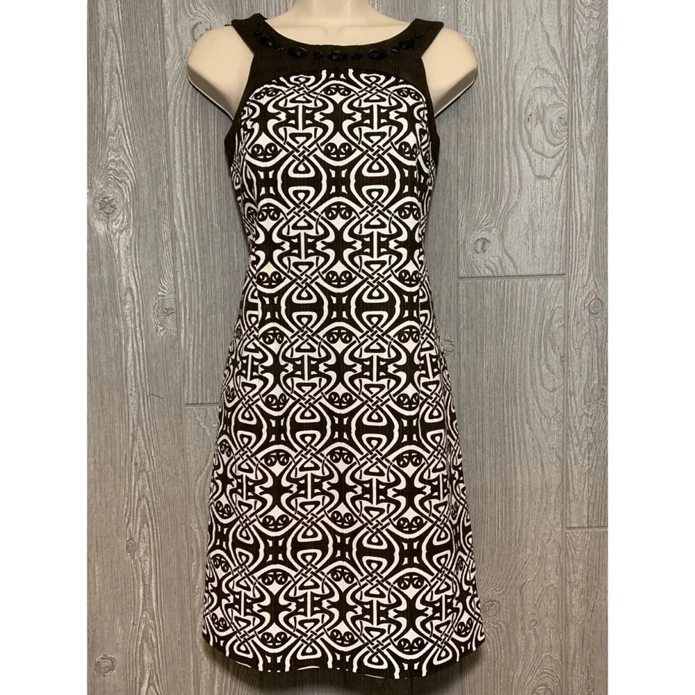 Ann Taylor Brown & White Cotton Print Dress 2P